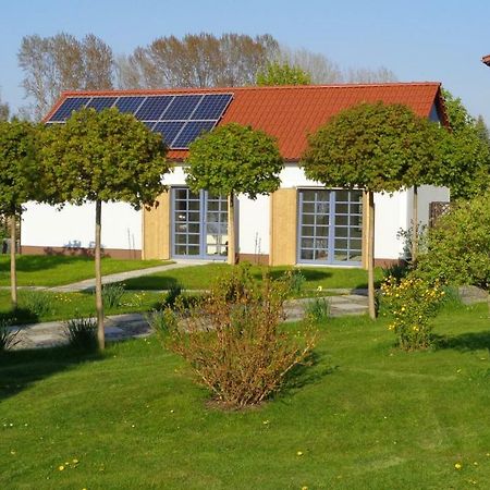 Appartamento Alte Hofwerkstatt Gaußig Esterno foto